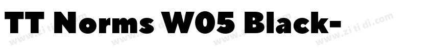 TT Norms W05 Black字体转换